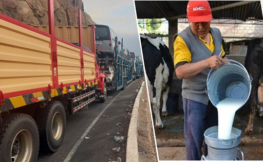 Arequipa pierde 750 000 L de leche al día por protestas